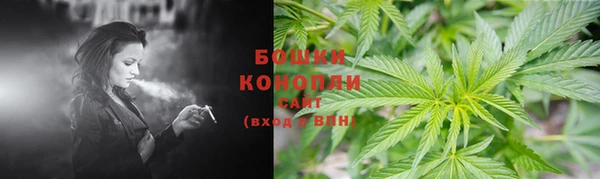 spice Аркадак