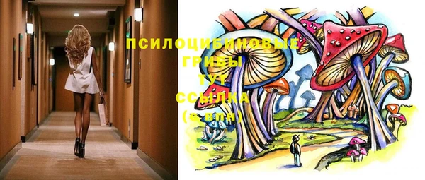 меф Арсеньев