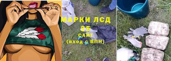 spice Аркадак