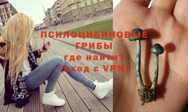 Альфа ПВП Армянск